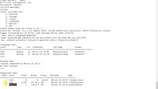 Bacula  Primer restore [upl. by Dnaletak]