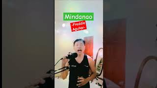 Mindanao Freddie Aguilar music musica cover guitar love talentsinger talent coversong [upl. by Martres841]