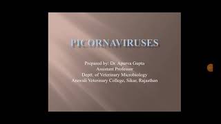 Picornaviruses and FMD Veterinary virology lectures by Dr Apurva Gupta [upl. by Pillyhp]