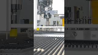 RITEC Servo CNC Turret Punch Press PreShipment Operation [upl. by Yrehcaz920]