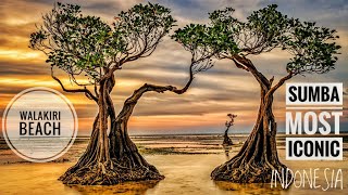 SUMBA MOST ICONIC BEACH  WALAKIRI BEACH  INDONESIA [upl. by Ennaillij]