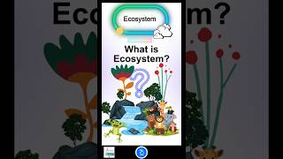 What is an Ecosystem [upl. by Chavez]