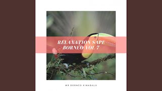 Relaxation Sape Borneo Vol 7 [upl. by Shellie]