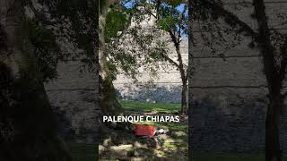 PALENQUE CHIAPAS ARRIBA PRESIDENTE AMLO [upl. by Esela]