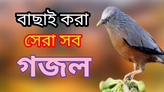 Bengali Islamic naat  amazing Islamic song  ইসলামিক সেরা গজল  bangla new gojol  New gojol [upl. by Enawd830]