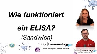 Easy Immunology  Methoden Der Sandwich ELISA [upl. by Chancey]