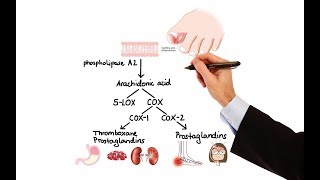 Pharmacology  NSAIDs amp PROSTAGLANDIN ANALOGS MADE EASY [upl. by Mik]