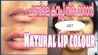 How to Remove Dark LipsGet Soft Pink Lips At HomeNaturallymalayali YouTubersimply my style [upl. by Adnoved]