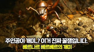 개미가 되어 자연을 누비며 군단을 이끄는 꿀잼 신작 게임ㅣ그래픽 재미 모두 잡았다ㅣ곤충계의 스타크래프트 ㅋㅋㅣ베르나르 베르베르의 개미 [upl. by Ithsav]