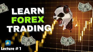 How To Create Demo Account On Mt5  Basic Forex Trading [upl. by Idur]