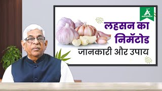 लहसुन का निमॅटोड जानकारी और उपाय garlic nematode [upl. by Nnaid232]