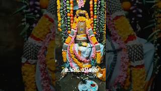 இளநகர் உடையீசன் ஒரு முறையா இரு முறையா Pichai Paathiram Oru muraiya iru muraiya lord Shiva siva சிவன் [upl. by Kielty]