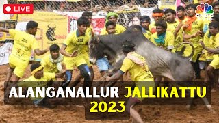 Alanganallur Jallikattu LIVE  Bull Taming Festival At Alanganallur Madurai In Tamil Nadu LIVE N18L [upl. by Noned]