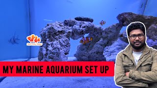 My Marine Tank Set up After 1 Year  Tamil [upl. by Chandler863]