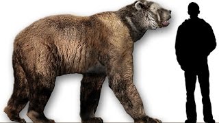 10 Unbelievable Animals that coexisted with humans  Prehistoric Beasts [upl. by Kirch]