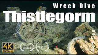 SS Thistlegorm  Wreck dive Red Sea Egypt plongée épave mer rouge 4k  2 [upl. by Tamera516]