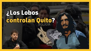 ¿Quién es Colón Pico  Los Lobos en Quito  BN Periodismo  Noticias de Ecuador [upl. by Ilatan]