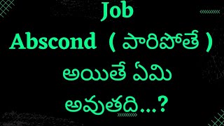 Job Absconding Means  Can I Get A Job After Absconding  What Happened If U Abscond  Telugu [upl. by Pinter]