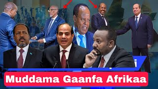 Muddamni Gaanfa Arfikaa kan Ethiopia fi Somaliyaa gidduu jiru Maalif Dabalaa dhufe [upl. by Walke]