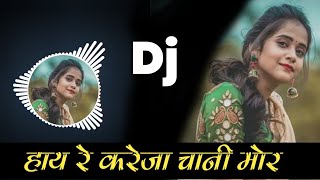 Hay Re Kareja Chani Mor Dj Song  Neelkamal Vaishnav Cg Song  Dj Dinesh Chisda 20 [upl. by Cotsen986]