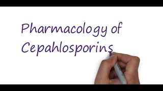 Pharmacology of cephalosporin [upl. by Battiste657]