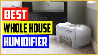 Top 5 Best Whole House Humidifier Reviews in 2022 [upl. by David680]