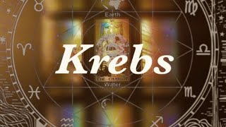 Krebs August 2024 [upl. by Deibel]