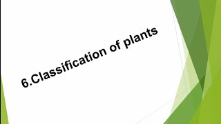 Classification of plants • question answers  lesson no6  Class 9  science  Maharashtra board [upl. by Arlette]