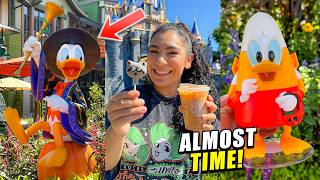 🧡 FINAL Halloween Time At The DISNEYLAND RESORT Updates  Starbucks Pumpkin Spice Merch  MORE [upl. by Jarl]