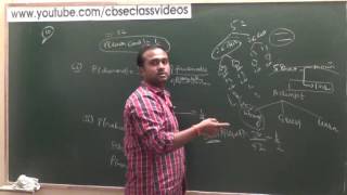 Axiomatic approach to Probability  CBSE 11 Maths NCERT Ex 163 intro Part 2 [upl. by Conall]