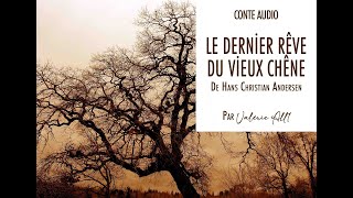 🎄 LE DERNİER RÊVE DU VİEUX CHÊNE de HC Andersen ✨ CONTE AUDIO par Valérie All1 [upl. by Nij609]