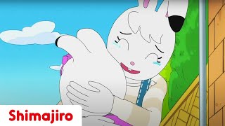 An Emotional Day 💕 Mom amp Dad  24 Minute Compilation  Kids video for Kids  Shimajiro [upl. by Tally124]