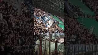 Napoli ultras a San Siro [upl. by Ecirtam]