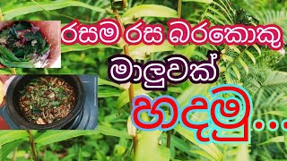 රසම රස බරකොකු මාලුවක් හදමු babara production video😀😀😀 [upl. by Celestyna]