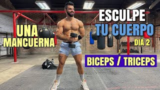 Rutina de Biceps y Triceps Esculpe TU CUERPO Dia 2 28 Minutos Quema Grasa Gana Músculo [upl. by Luapnhoj]