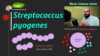 Streptococcus pyogenes  Bacitracin disk test  Microbiology  Bacteriology  Basic Science Series [upl. by Genovera]