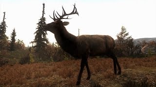 Cabelas Big Game Hunter Pro Hunts Release Trailer UK [upl. by Pare]