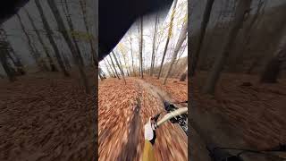 Wolski Forest  Downhill Bike  Commencal Supreme V5 bike downhillmtb mtb mtblife downhill [upl. by Muhan]