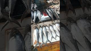 vanagaram fish market food fishing viralshorts trendingshorts karancviews karanchellappa 😊💐 [upl. by Jovia733]