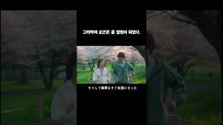 먼저 첫눈에 반한 사카구치 켄타로 드라마 kdrama [upl. by Ecirtal]