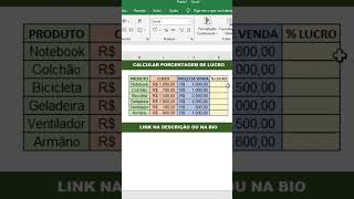 Calcular porcentagem de lucro Excel excel [upl. by Eissen]