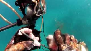 Spearfishing in Alexandria 2013  Open Water  صيد هاربون الاسكندريه تيوس و دنيس [upl. by Elrahc]