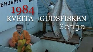 Kveita  Gudsfisken Kveitefiske vest av Senja 1984 [upl. by Letti]