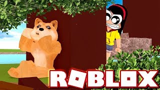 Normal Ones and Weird Ones  Roblox Find the Doges  DOLLASTIC PLAYS [upl. by Garceau577]