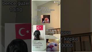 Google yazdığımgrup pp saverobloxkadinasiddetehayir çocugasiddethayir [upl. by Selrahcnhoj]