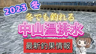 最新中山温排水釣果情報20231126 [upl. by Alimhaj]