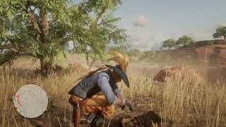 RDR2 Online Splintered Arrowhead  Hennigans Stead [upl. by Amoreta]