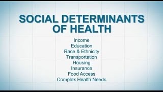 Social Determinants of Health [upl. by Tehc]