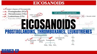 Eicosanoids Prostaglandins Thromboxanes and Leukotrienes [upl. by Amrak]