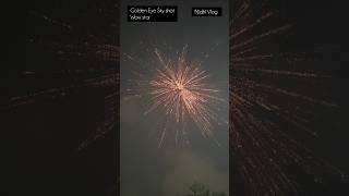 Golden Eye  Sky Shot  Wow Star  Firework  Cracker  Deepavali 2024  Nidhi Vlog [upl. by Natica]